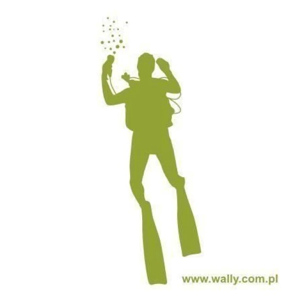 Stylish diving painter template 03 in shades of green, perfect for modern interiors for enthusiasts.