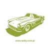 Stylish painting template for a convertible in shades of green, perfect for a modern youth room.