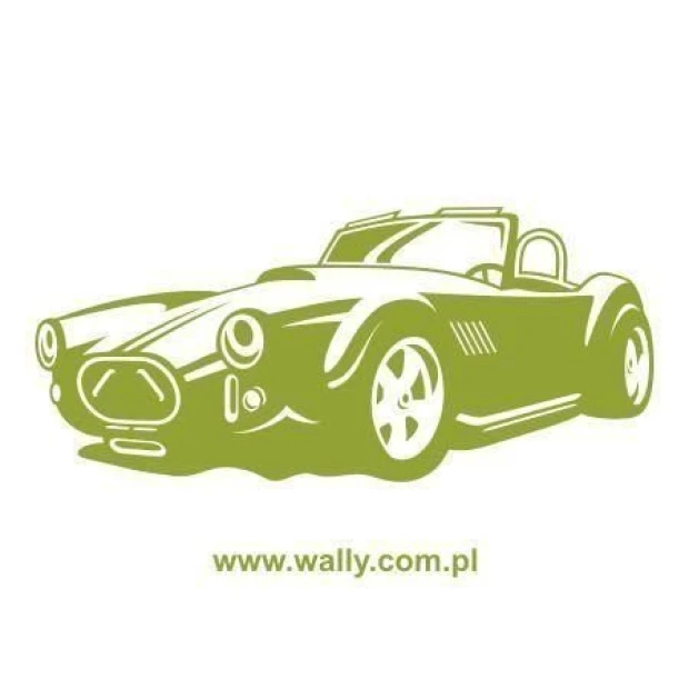 Cobra 04 vehicle painting template in vibrant green, perfect for a modern youth room.