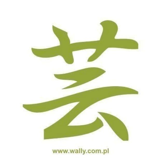 Japanese geisha painting stencil 0759 in a minimalist style, perfect for adding character to modern decor.