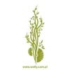 Elegant green climbing plant, perfect for modern interiors, adding freshness to any space.