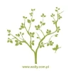 Tree painting template 1035 - Graphic design featuring a tree shape with branches, leaves, and a butterfly on one branch.
