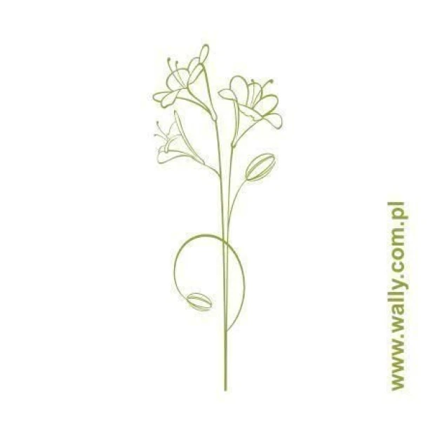 Flower painting template 0997 - Graphic design with a long stem, delicate lines, and buds at the ends.