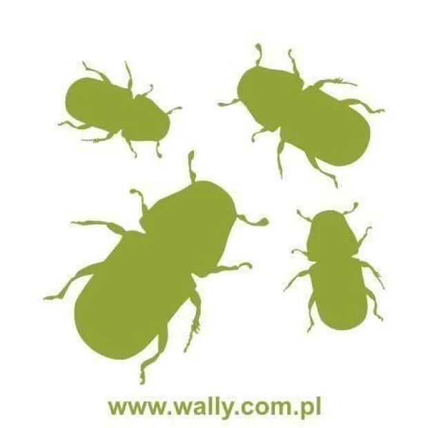 Beetle painting template 1059 - Graphic design featuring four insect shapes with clear outlines and various positions.