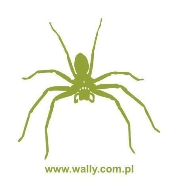Spider-shaped painting template 1063 with eight legs and a distinct body design.