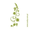 Grape vine painting template 0996 - Graphic design featuring a vine shape with leaves and clusters, with smoothly curved lines.