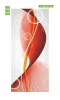 Abstract door wallpaper in vibrant red and orange shades, perfect for enhancing any space.