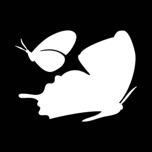 Dry-erase board 032 butterflies - Graphic design featuring two butterflies in different shapes on a black background.