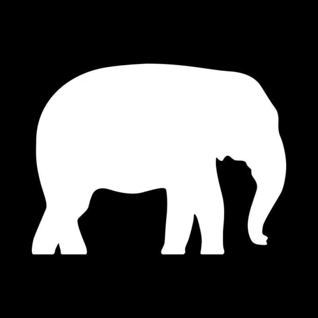 Dry-erase board 039 elephant - Graphic design. White elephant outline on a black background.