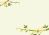 Dry-erase board 01X 057 branches - Graphic design featuring branches with flowers in shades of yellow.