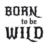 Painting template 02X 03 born to be wild 1707 - Graphic design with Gothic-style lettering and various shapes.