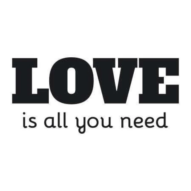 Painting template 02X 18 love is all you need 1723 - Graphic design with various styles, large and small letters.