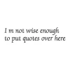 Painting template 02X 20 quote: I\'m not wise 1751 - Graphic design. Italic text with varied letter sizes.