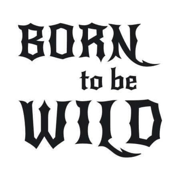 Sticker 03X 03 born to be wild 1707 - Graphic design with large black letters and clear edges, text in two lines.