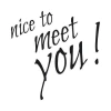 Sticker 03X 16 nice to meet you 1741 - Graphic design. Text in various sizes, black on a white background.