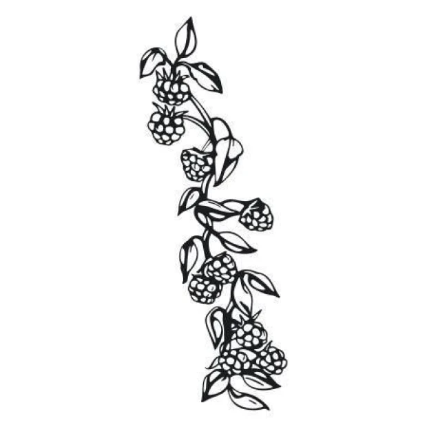 Sticker 03X 02 blackberries 1777 - Graphic design featuring a branch with blackberries and leaves in black.