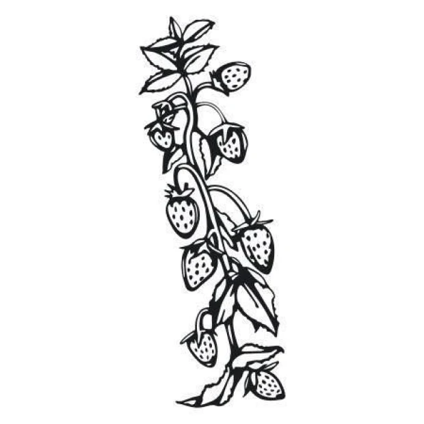 Sticker 03X 02 strawberries 1771 - Graphic design featuring a vertically growing branch with strawberries and leaves.