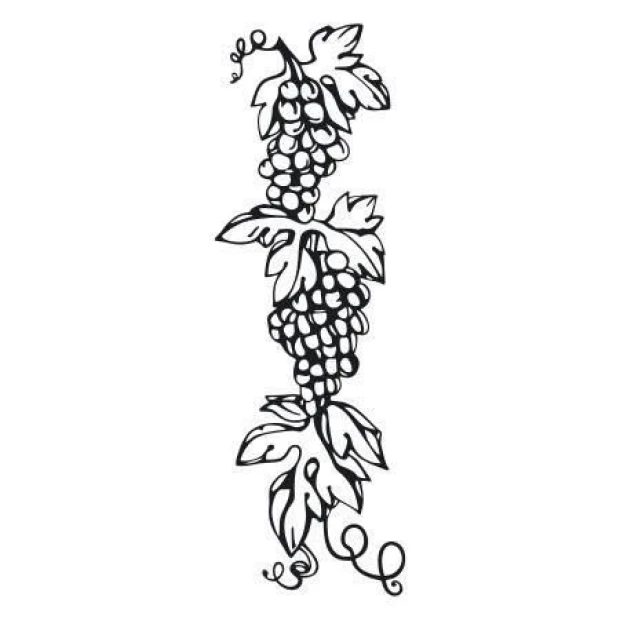 Sticker 03X 05 grapes 1775 - Graphic design. Black and white illustration of grapes with leaves.