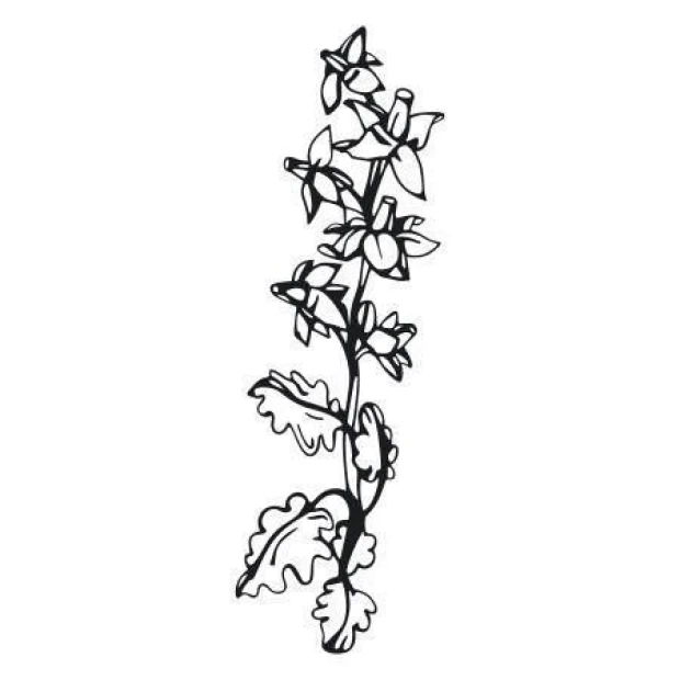 Sticker 03X 05 floral pattern 1773 - Graphic design featuring a slender plant with flowers and leaves.
