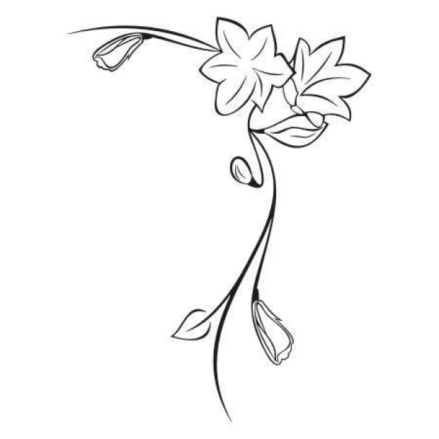 Sticker 03X 08 flower 1799 - Graphic design. Flowers and leaves in black outline on a white background.