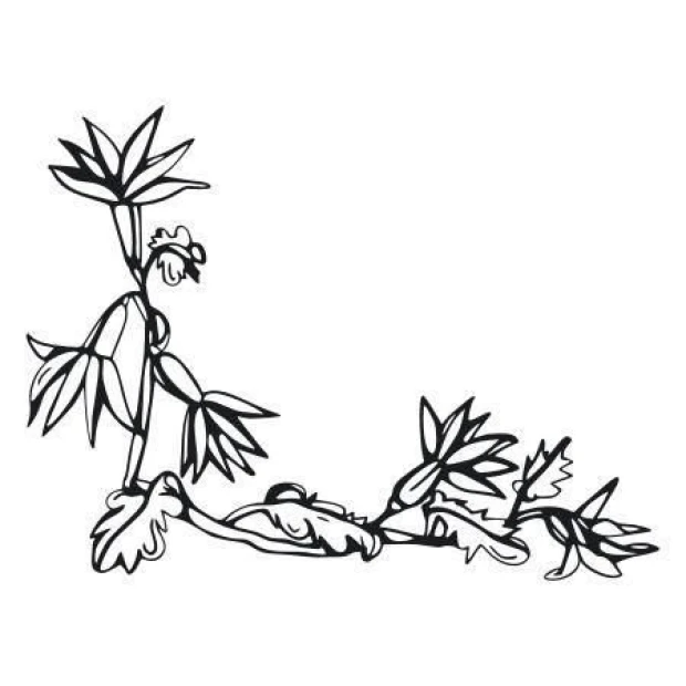 Sticker 03X 17 plant 1770 - Graphic design. Plants with thin stems and leaves in various positions.