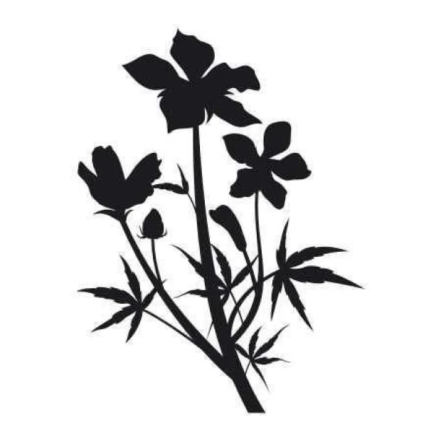 Sticker 03X 08 flower 1809 - Graphic design featuring a black flower with leaves on a white background.