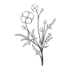 Sticker 03X 15 flowers 1811 - Graphic design. Flowers with long stems and leaves in black and white style.