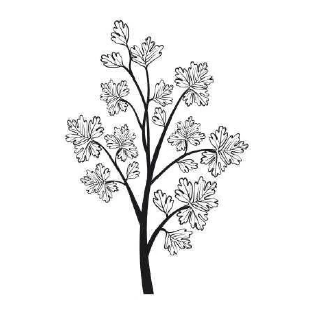 Painting template 03X 15 wood 1819 - Graphic design featuring a branch with leaves of various shapes.