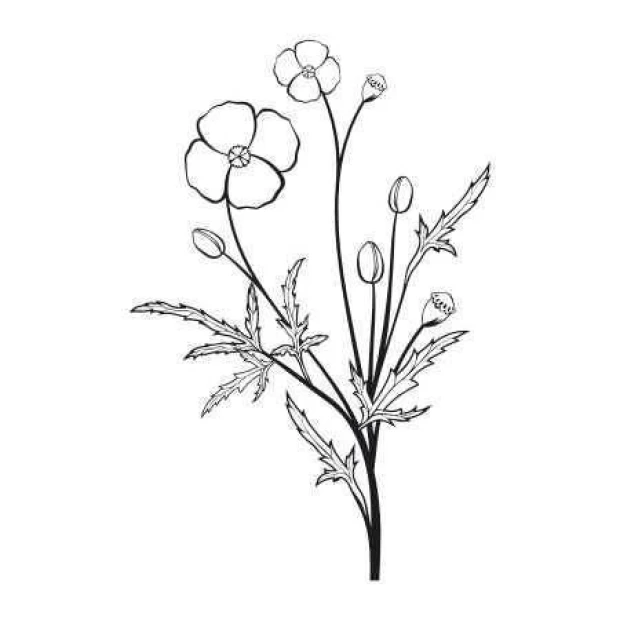 Painting template 03X 15 flowers 1811 - Graphic design featuring flowers with long stems and leaves.