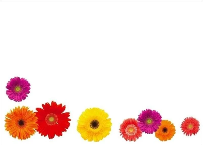 Dry-erase board 01X 074 gerberas - Graphic design with colorful flowers along the bottom edge.