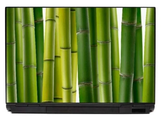 Bamboo laptop sticker 0032 - Graphic design featuring green bamboo shoots in various shades, arranged vertically.