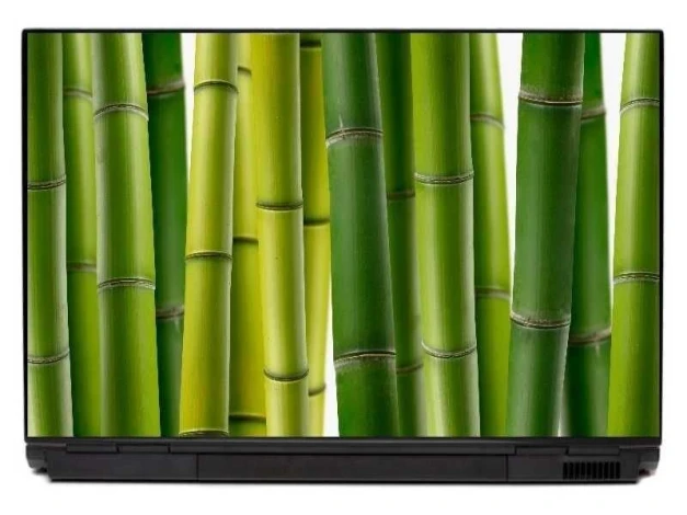 Bamboo laptop sticker 0032 - Graphic design featuring green bamboo shoots in various shades, arranged vertically.