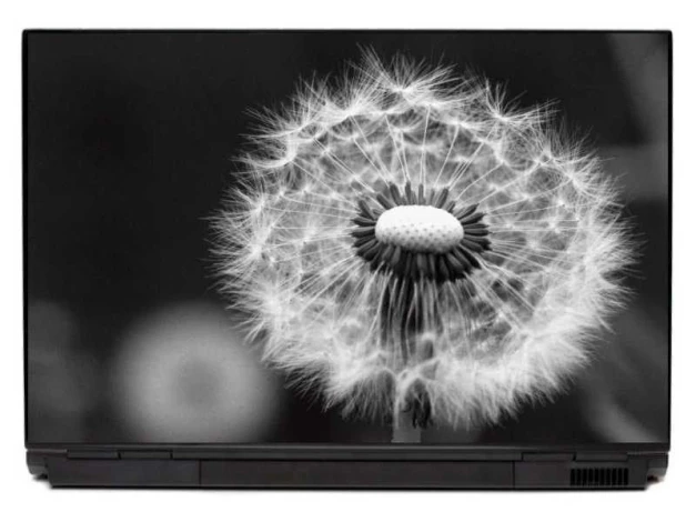 Dandelion laptop sticker 0041 - Graphic design in black and white with clear details of the dandelion.
