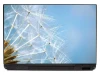 Dandelion laptop sticker 0057 - Graphic design with dandelion seeds on a light background and blue accents.