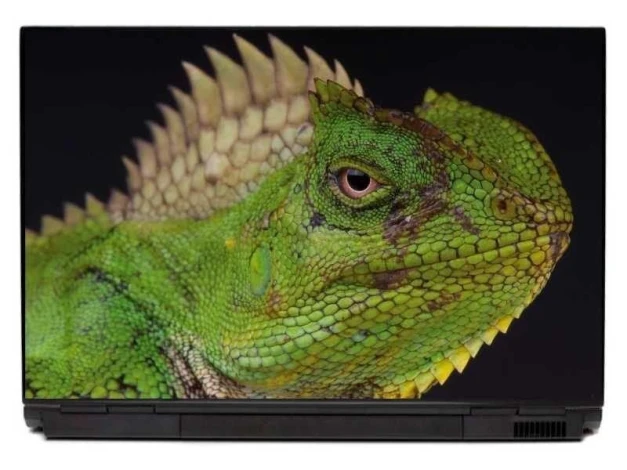 Iguana 0047 laptop sticker - Graphic design featuring a green iguana with distinct scales and sharp spines on its back.
