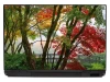 Laptop sticker Japanese garden 0054 - Graphic design featuring trees with red and green leaves.