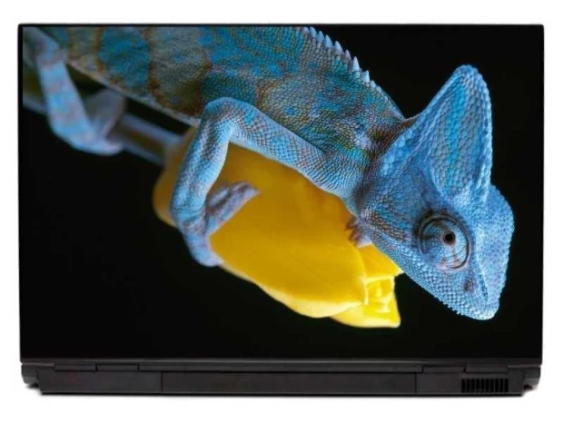 Chameleon laptop sticker 0049 - Graphic design featuring a blue chameleon on a yellow background.