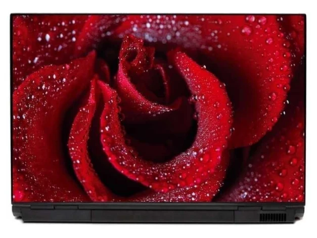 Laptop sticker rose 0042 - Graphic design. Intense red rose with water droplets.