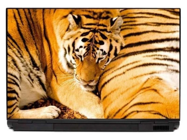 Tiger laptop sticker 0050 - Graphic design featuring an orange and black tiger with distinct stripes.