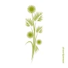 Fern painting template 1222 - Graphic design featuring long, slender lines and round, radiant shapes.