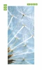Dandelion door wallpaper 165 - Graphic design. Transparent dandelion fibers on a light background.