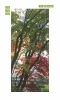 Japanese garden door mural 159 - Graphic design featuring a tree with green leaves and red accents in the background.