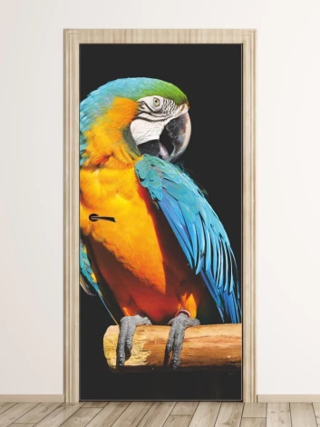 Door mural with a parrot design - vibrant blue and green parrot on a branch.