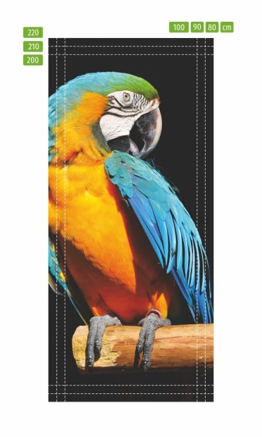 Door wallpaper featuring a parrot on a branch with vibrant feather colors.