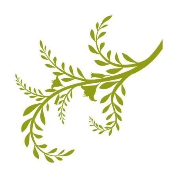 Painting template branch 1296 - Graphic design featuring branches with leaves of various sizes and shapes.