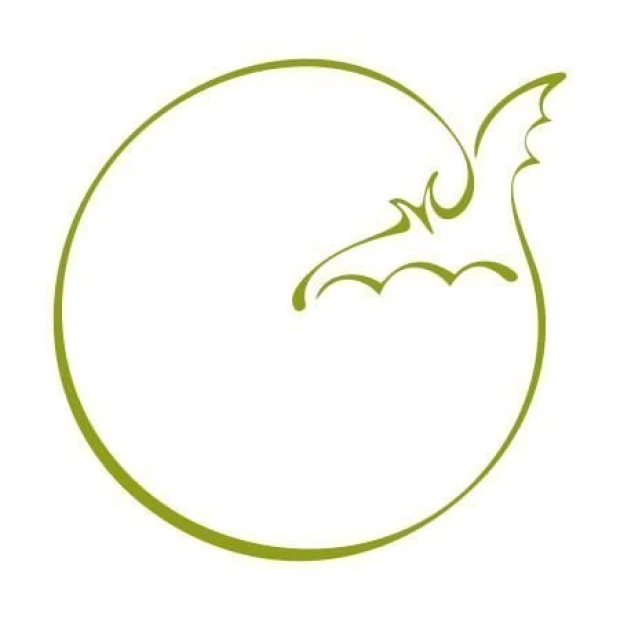 Bat-shaped painting stencil 1263 - Round design with a bat motif and wavy lines.