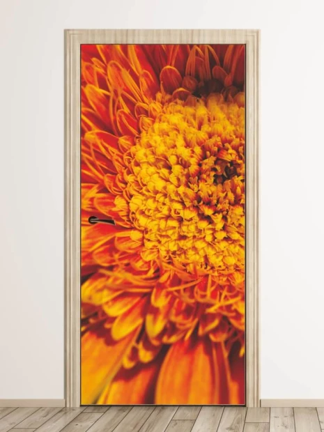 Gerbera door mural 149 - Graphic design featuring a large orange gerbera with clear petals and details.