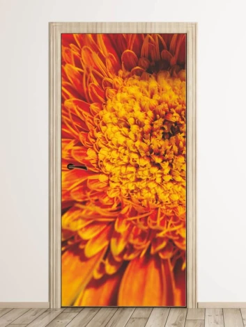 Gerbera door mural 149 - Graphic design featuring a large orange gerbera with clear petals and details.