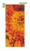 Gerbera door wallpaper 149 - Graphic design featuring a large, detailed flower in shades of orange and yellow.