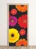 Gerbera flower door wallpaper 122 - Graphic design with colorful gerbera flowers on a black background.